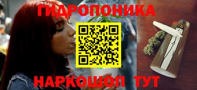 тгк Канаш
